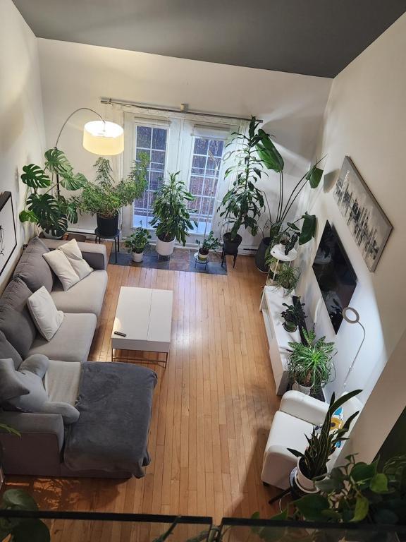 CONDO À LOUER MONT-TREMBLANT | 3173819