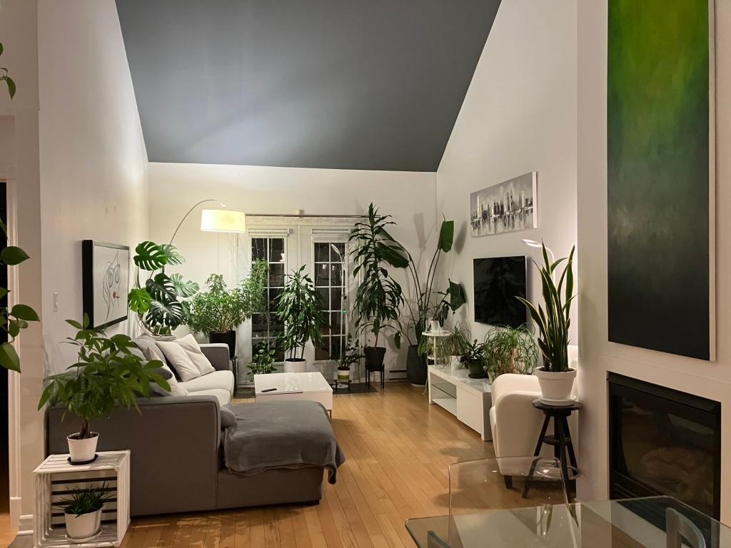 CONDO À LOUER MONT-TREMBLANT | 3173819