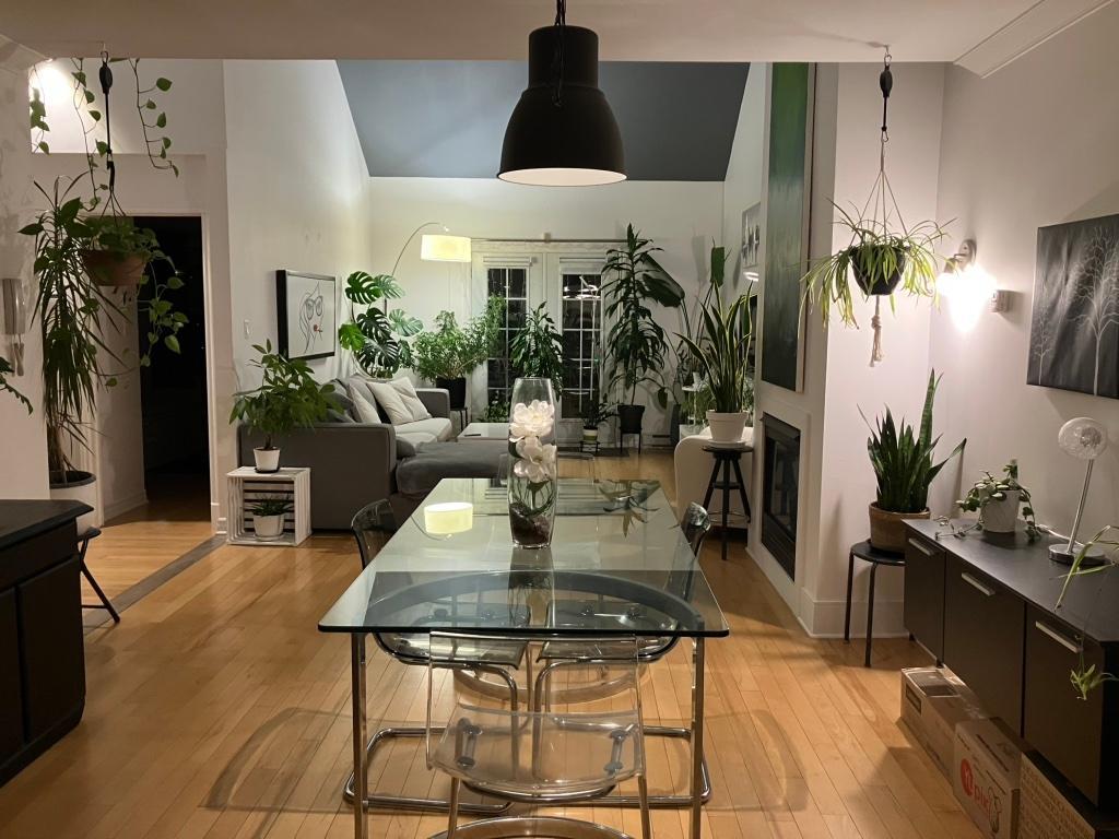 CONDO À LOUER MONT-TREMBLANT | 3173819