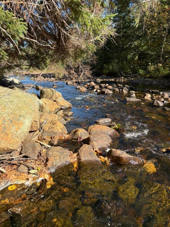 Terre 30 acres - grappes chalets locatifs | 3175937