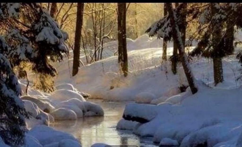 Terre 30 acres - grappes chalets locatifs | 3175937