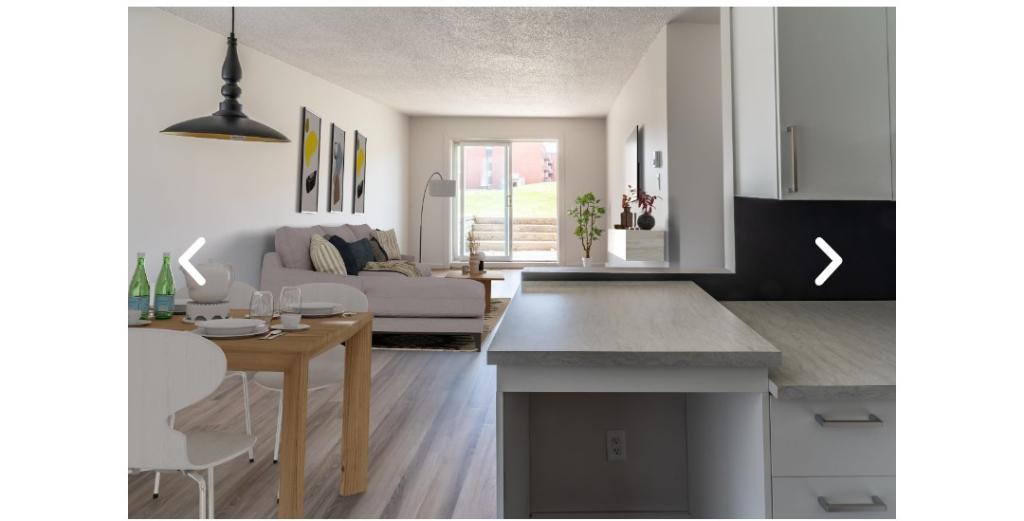 Logement a louer 3 et demi droit au chien | 3175170