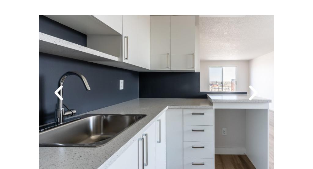 Logement a louer 3 et demi droit au chien | 3175170