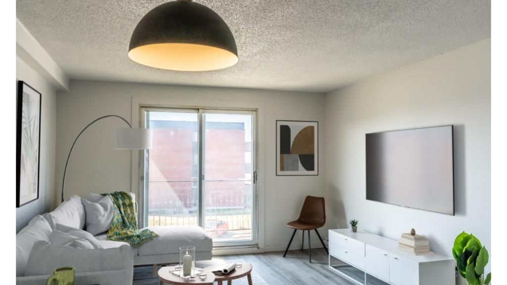 Logement a louer 3 et demi droit au chien | 3175170