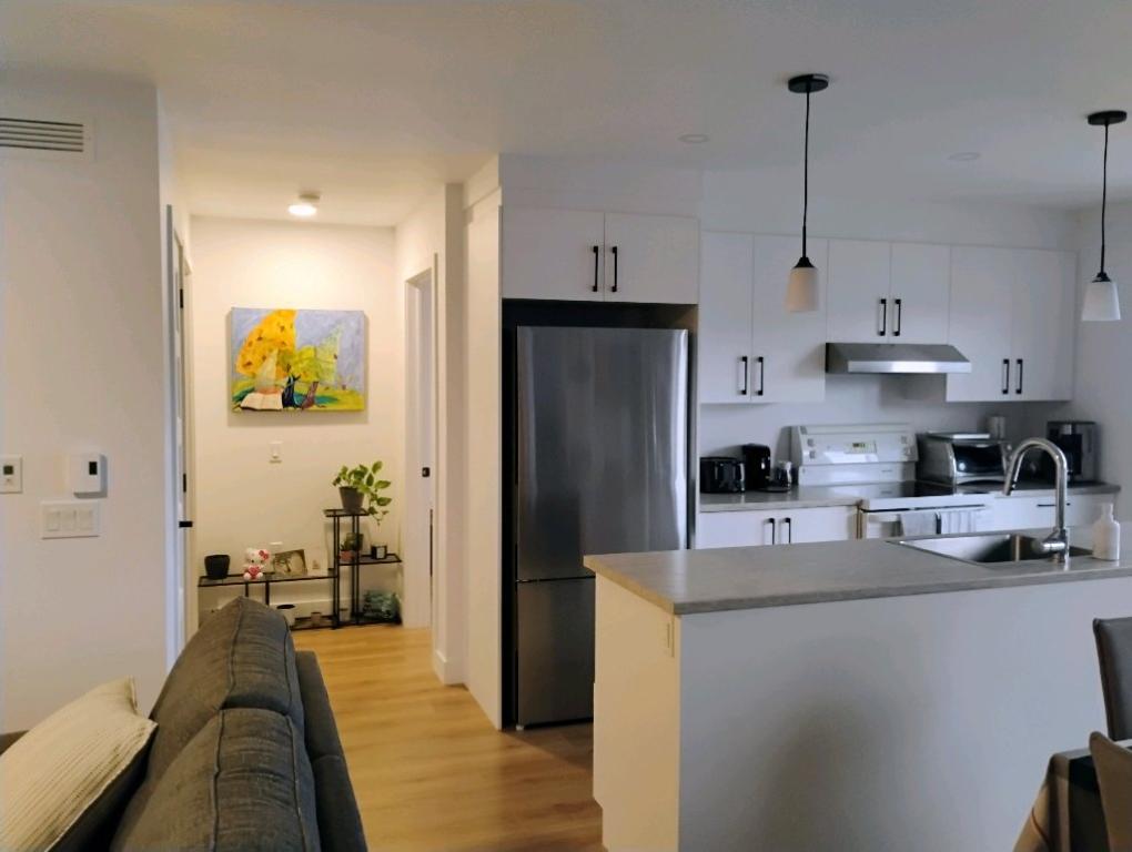 Appartement 1 chambre+ bureau avec accès à la rivière St-Maurice | 3175182