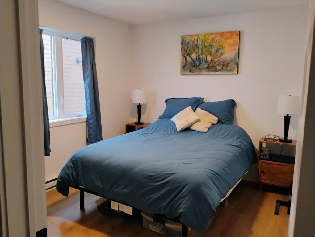 Appartement 1 chambre+ bureau avec accès à la rivière St-Maurice | 3175182