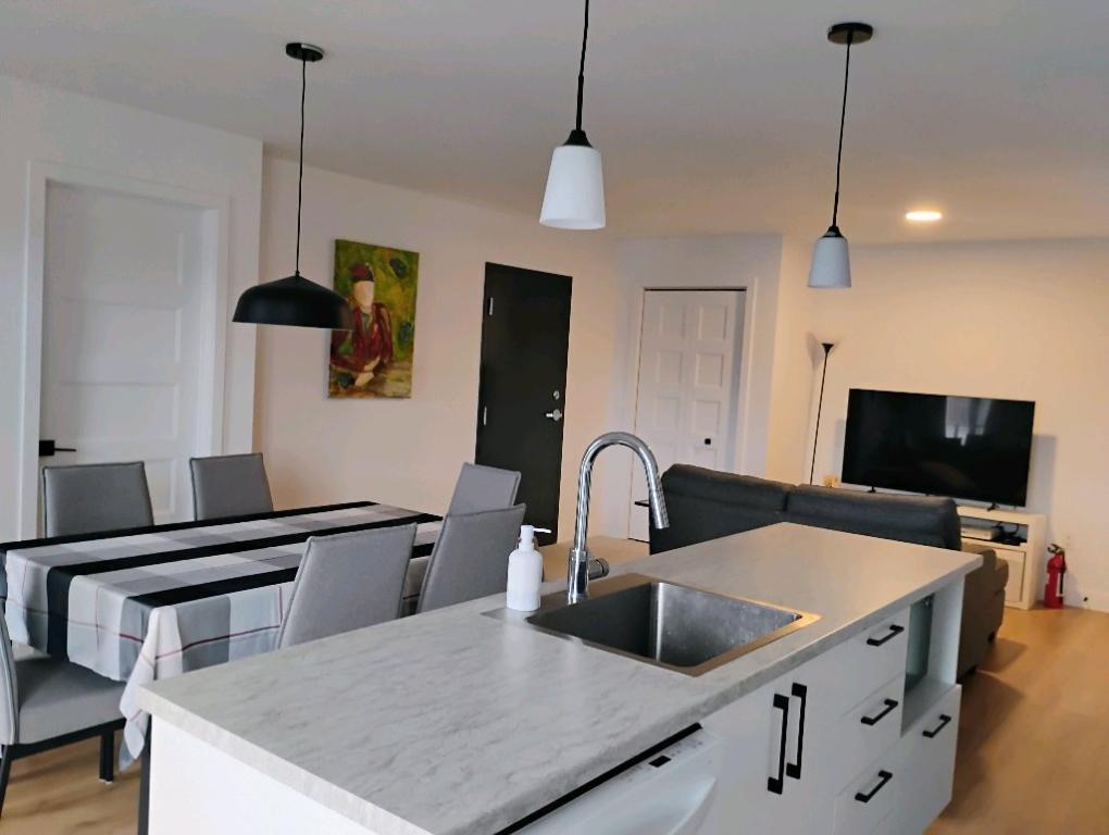 Appartement 1 chambre+ bureau avec accès à la rivière St-Maurice | 3175182