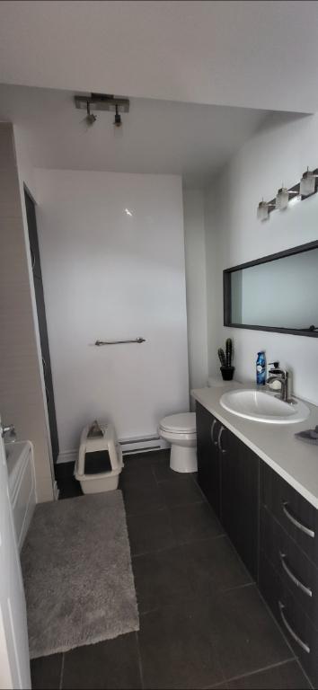 Condo a louer Grand 3 1/2 | 3175638