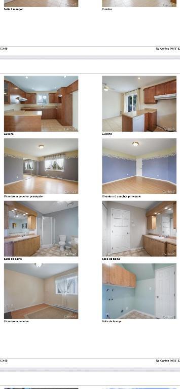 appât à louer | 3175642