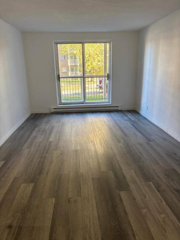 1 CH - 1 SDB - Gatineau - $1,495 /mo | 3177149