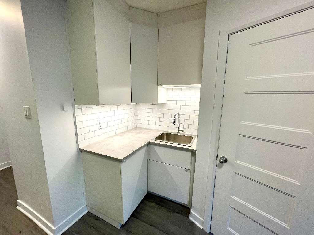 HOMA 3 1/2 complètement rénové à neuf! | 3177584