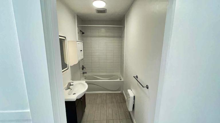 5 1/2 - Montréal (Hochelaga / Maisonneuve) - 1 700 $/mois | 3178017