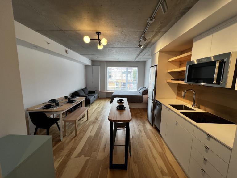 1 1/2 - Montréal - 1 490 $/mois | 3178314