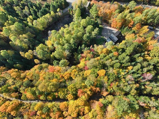 Chalet luxueux avec spa | Mont-Blanc | Mont-Tremblant | 3178351