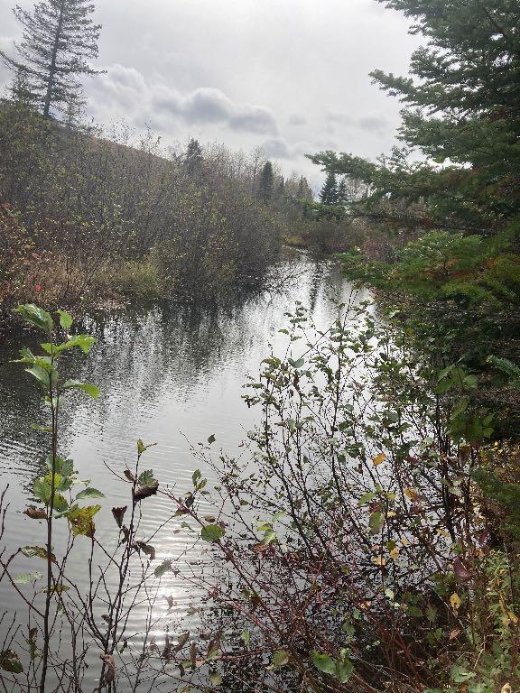 2 terrains à vendre | 3178387