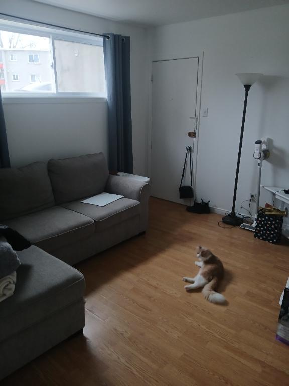 Logement 3 1/2 à Trois-Rivières | 3178670