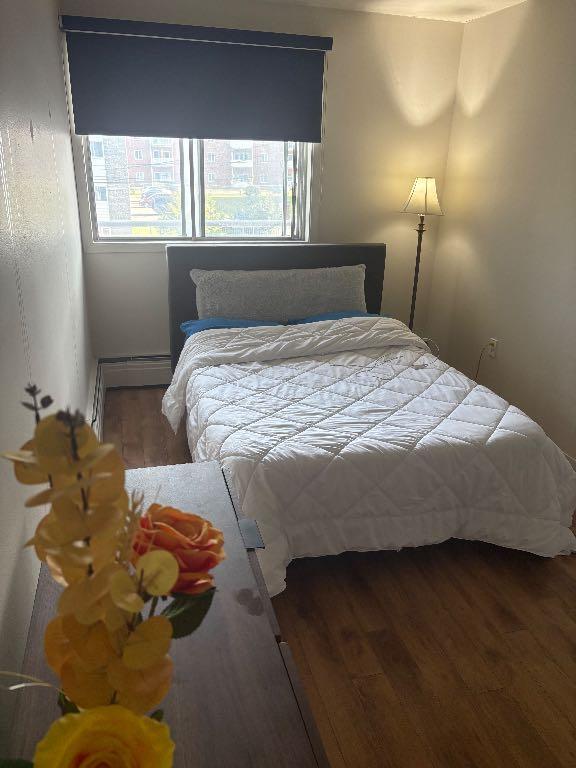 Cession de bail - 3 1/2 - 1 063$ Semi-meublé | 3178679