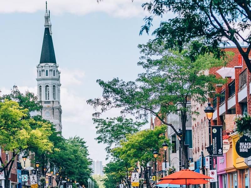 Espace de Vie lumineux et propre près de tout | 3178805