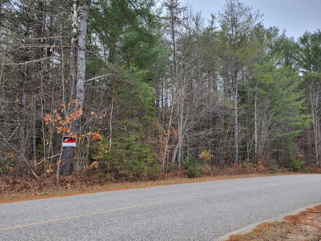 À vendre – quatre magnifiques terrains boisés de 2 acres à Notre-Dame-du-Laus, 75 000$ chacun | 3178861