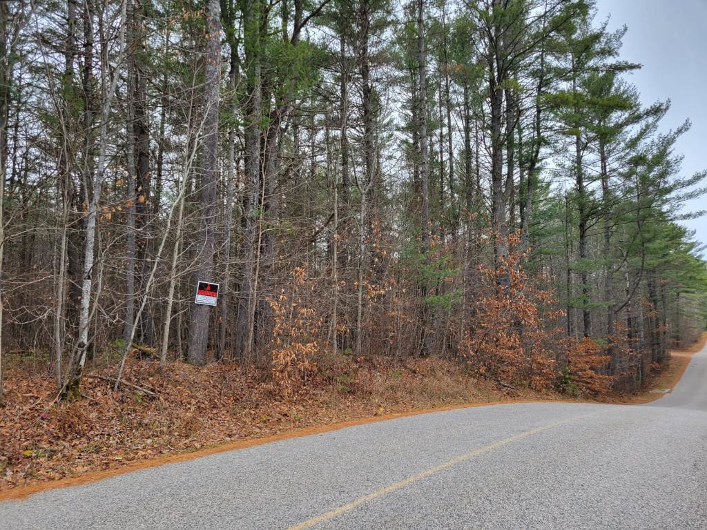 À vendre – quatre magnifiques terrains boisés de 2 acres à Notre-Dame-du-Laus, 75 000$ chacun | 3178861