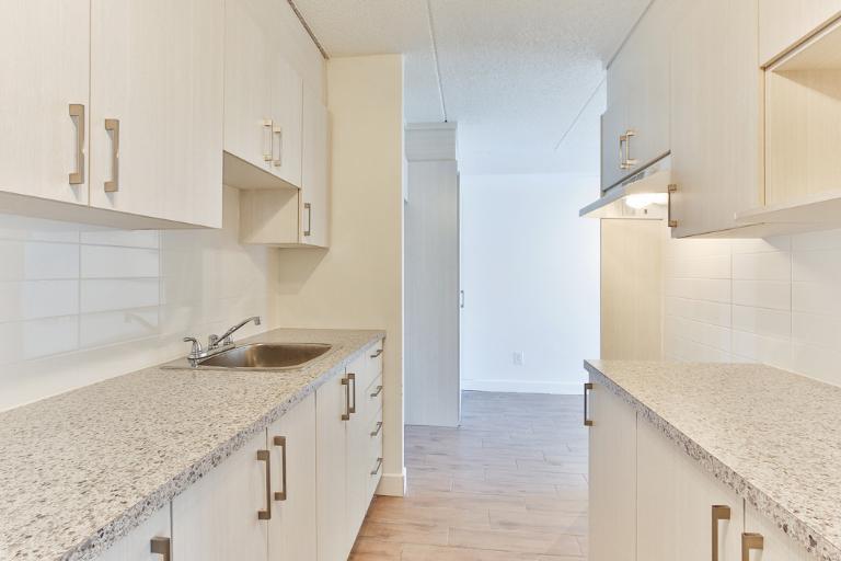 3 1/2 - Deux-Montagnes - 1 275 $/mois | 3179129