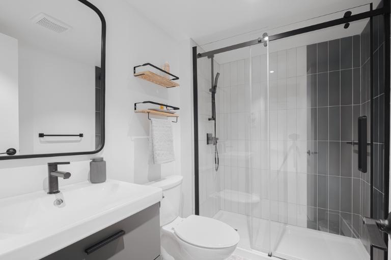 Loft entièrement meublé à louer Saint-Jean-Baptiste février 2026 | 3194596