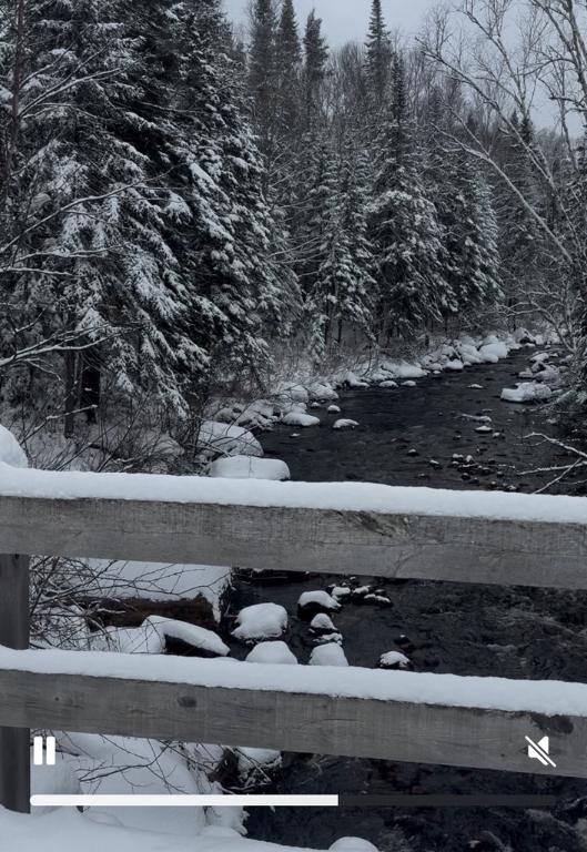 Terrain sur ruisseau St-Donat | 3179215