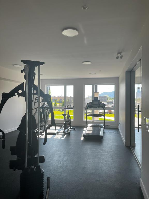 Grand 4-1/2 à louer à Beloeil avec beaucoup d'inclusions | 3179260