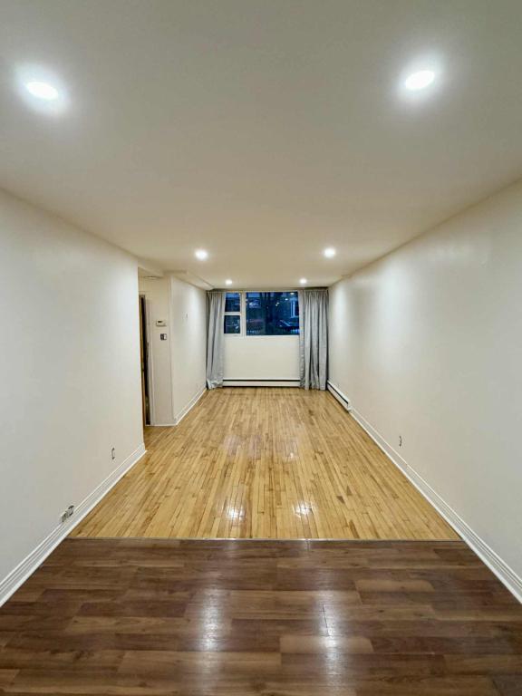 Grand Studio Rosemont | 3179524