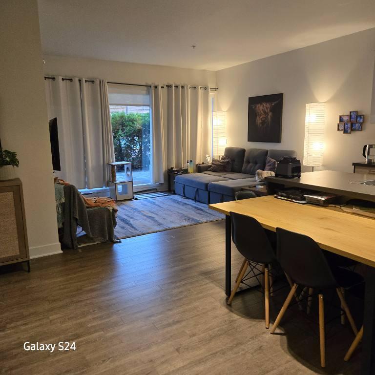 4 et demi à louer - Sainte-catherine, rive sud de Montréal | 3179570