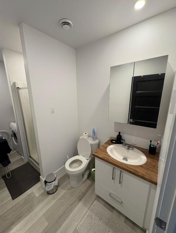 Reprise de bail - Spacieux 4 ½ lumineux à louer (chat accepté) | 3179590