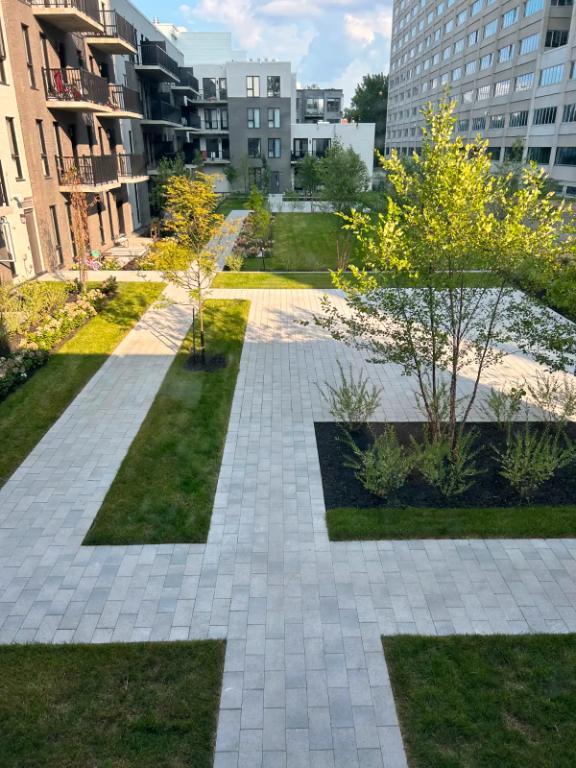 La Citadine du Plateau-Mont-Royal | 3179593