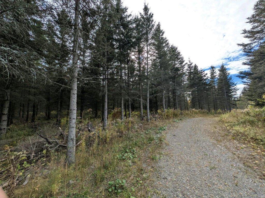 Terre à bois à vendre à Ste-Perpétue de l'Islet | 3179603