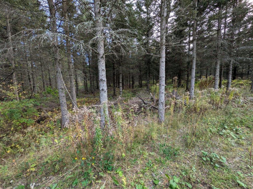 Terre à bois à vendre à Ste-Perpétue de l'Islet | 3179603