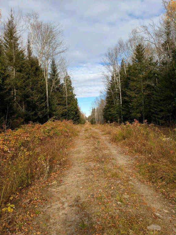 Terre à bois à vendre à Ste-Perpétue de l'Islet | 3179603