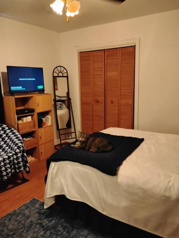 4 1/2 - Montréal (Montréal-Nord) - 1 520 $/mois | 3179920