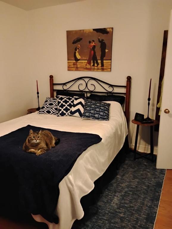 4 1/2 - Montréal (Montréal-Nord) - 1 520 $/mois | 3179920