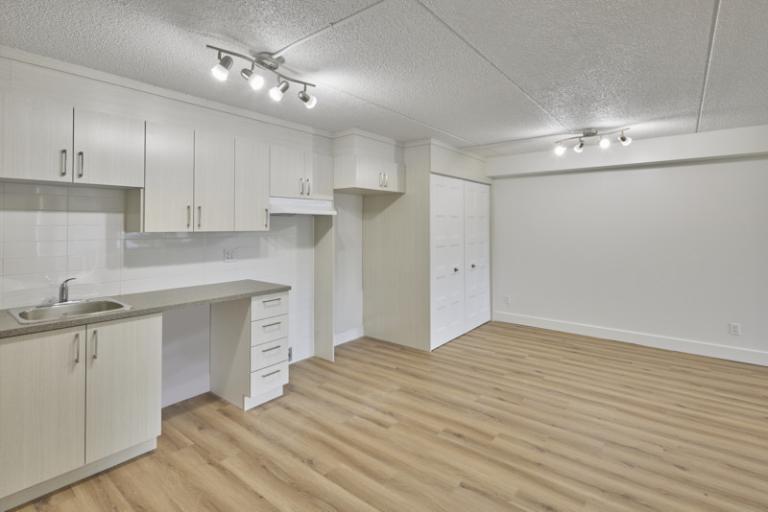 4 1/2 - Deux-Montagnes - 1 475 $/mois | 3179922