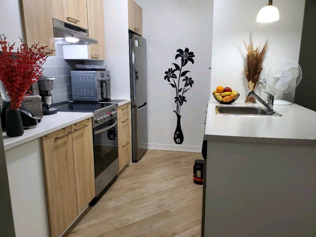 LOGEMENT 3½ BORD DU FLEUVE | 3179958