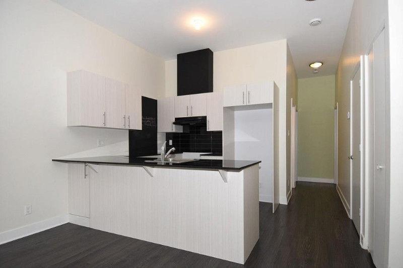 GRAND CONDO MODERNE 4 1/2 - STADE OLYMPIQUE / MÉTRO VIAU | 3179971