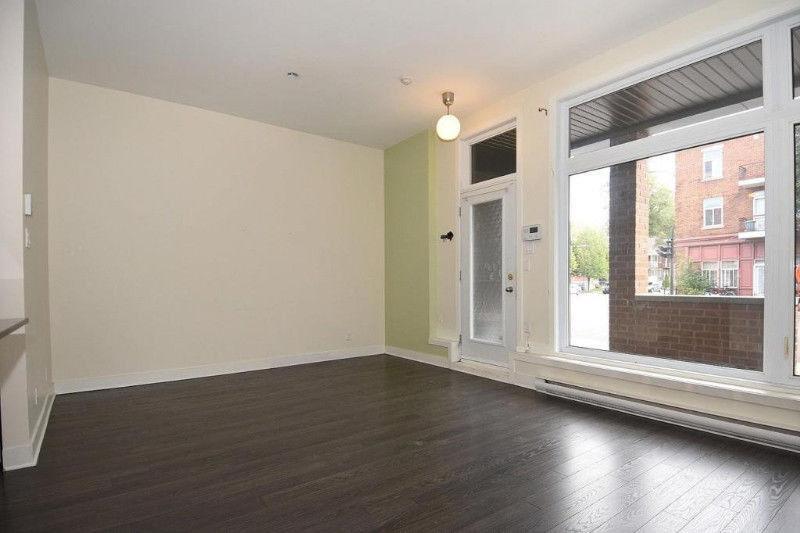 GRAND CONDO MODERNE 4 1/2 - STADE OLYMPIQUE / MÉTRO VIAU | 3179971