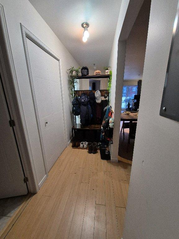 Grand 4 1/2 appartement Richelieu | 3180402