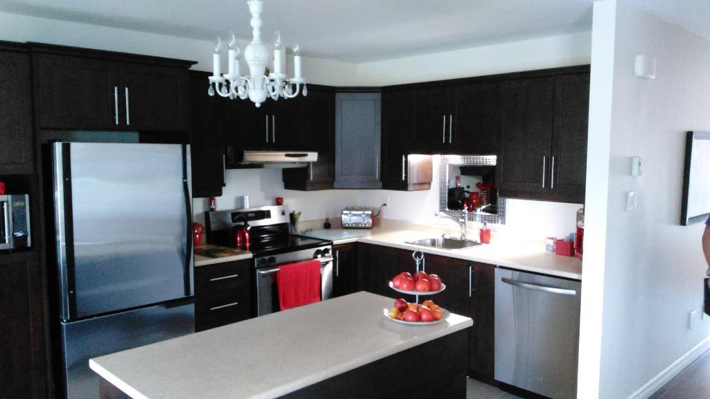 Superbe 4 1/2 (avec Garage) à Shawinigan-Sud (libre Décembre) | 3180404