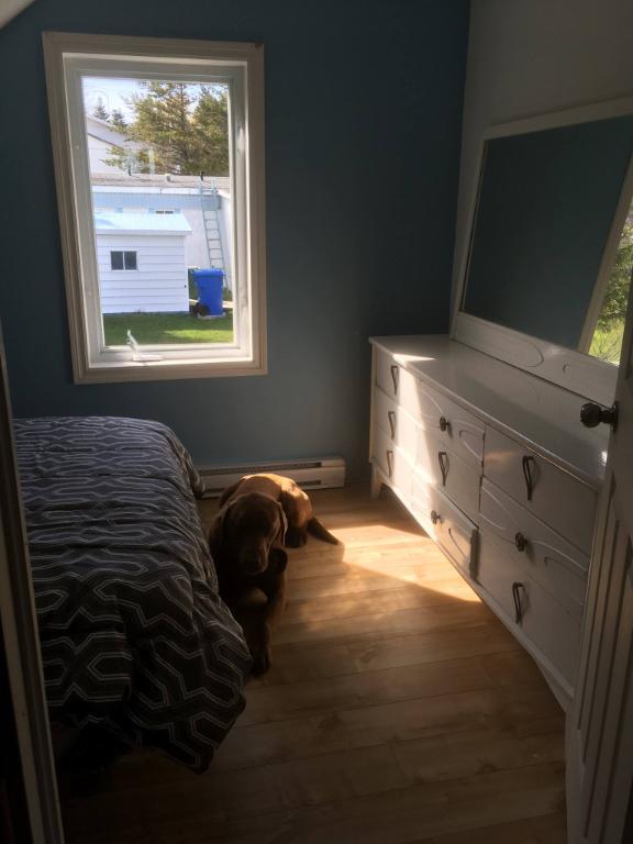 Maison bord de la mer Gaspésie qui inclus deux logements! | 3180447