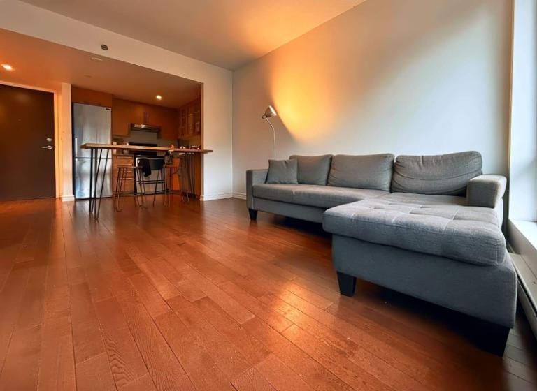 1 CH - 1 SDB - Montréal - $1,650 /mo | 3180460