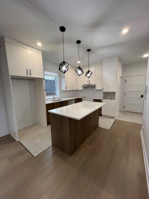 Grand, neuf et luxueux 41/2 St-Hyacinthe disponibles maintenant | 3180466