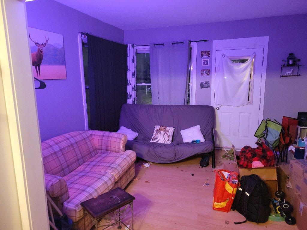 Beau 3 1/2 à louer à Saint-Hyacinthe- Disponible dès décembre | 3181193