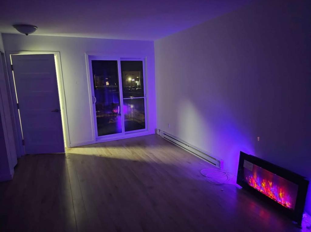 Grand appartement 4 1/2 à louer à Assomption | 3181210