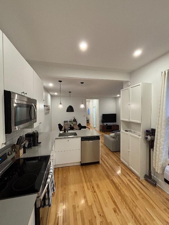 Magnifique 4 ½ entièrement rénové — 1000 pi² — Hochelaga-Maisonneuve — Disponible rapidement | 3181215