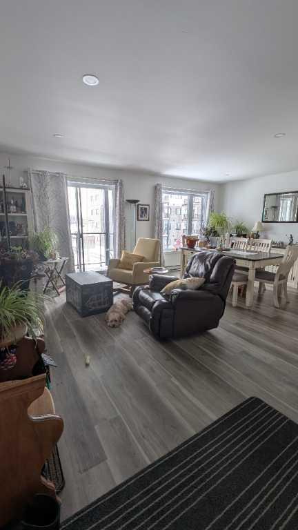Beau 5 1/2, nouveau quartier, immeuble de 4 ans, Otterburn Park, pôle et store fournie, grande luminosité, immeuble tranquille, 2 stationnement | 3181260